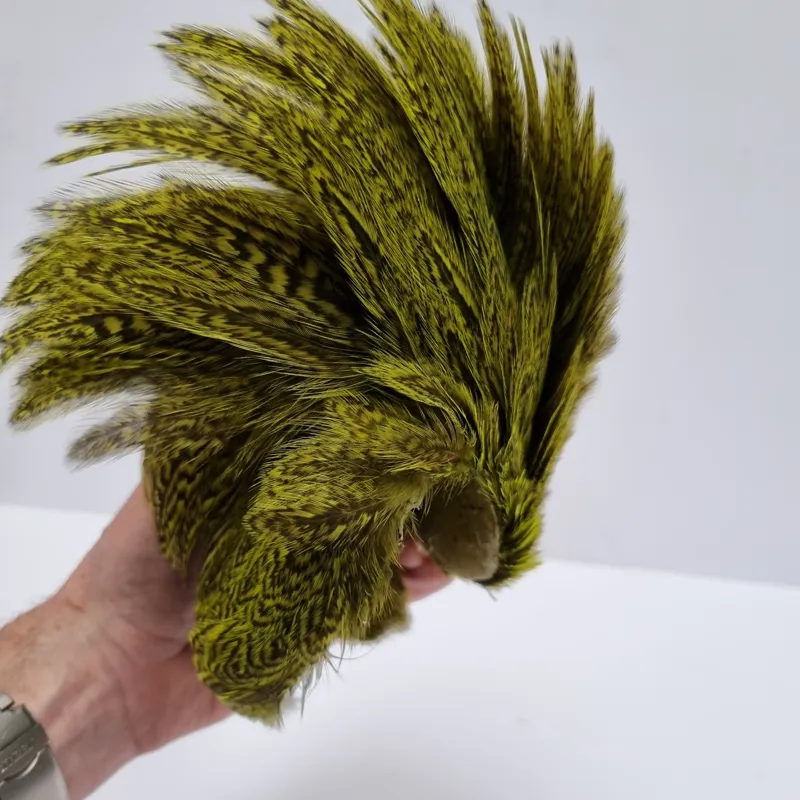 Whiting Coq de Leon Hen Cape in Speckled Fl.Yellow Chartreuse-8